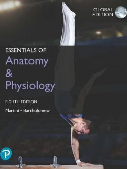 Essentials of Anatomy and Physiology (8th Global Edition) – eBook PDF