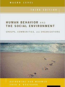 Human Behavior and the Social Environment, Macro Level (3rd Edition) eBook PDF