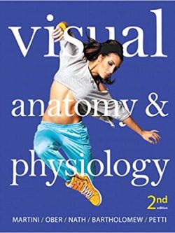 Visual Anatomy and Physiology (2nd Edition) – eBook PDF